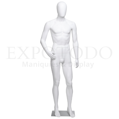 M-7 - Expo Todo