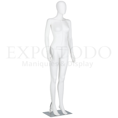 F-6 - Expo Todo