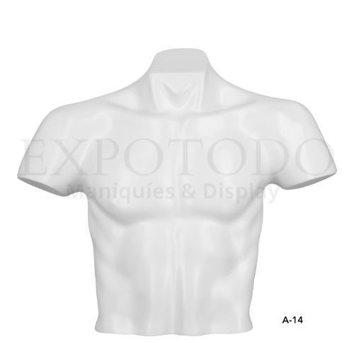 Busto caballero sing.