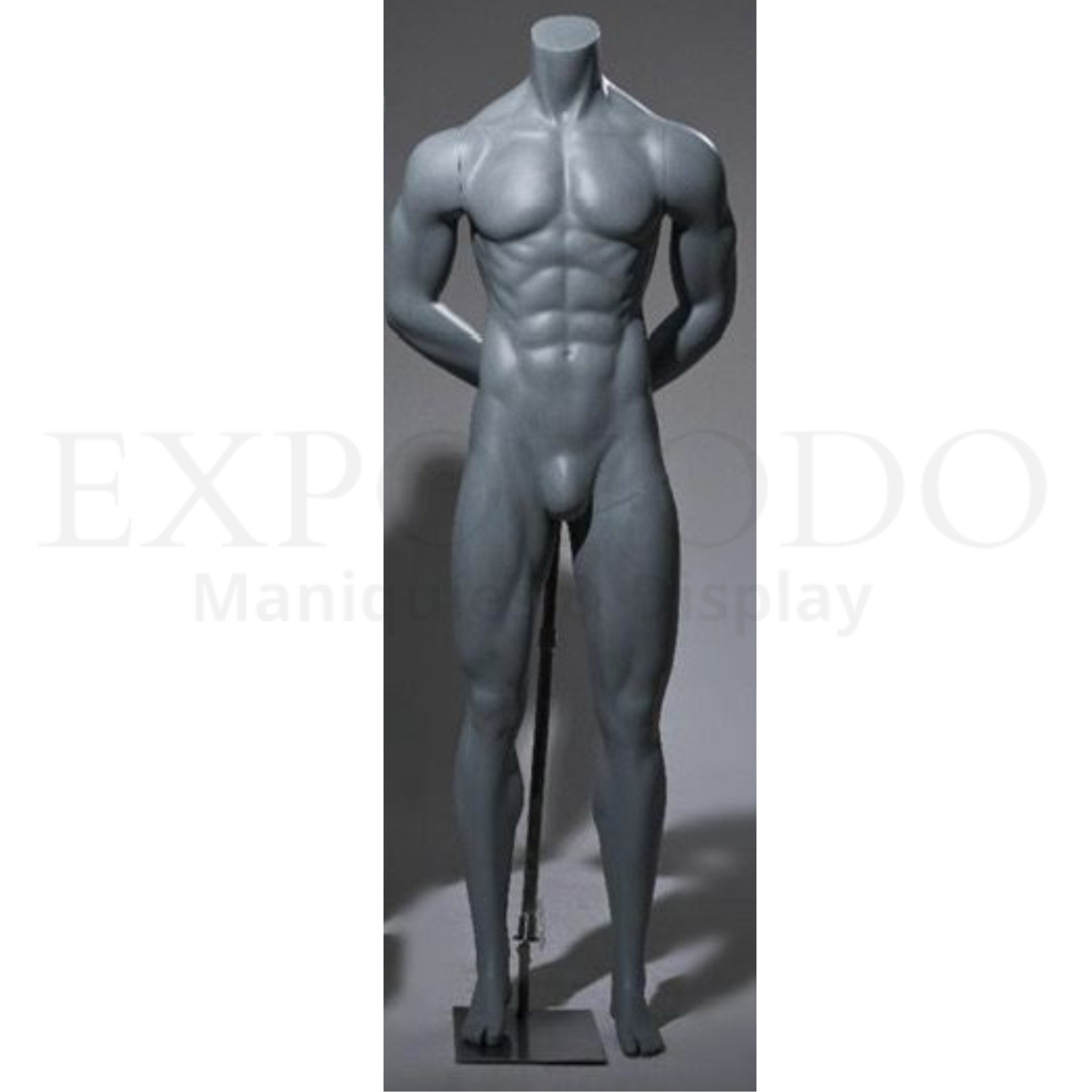 Sporline-03 caballero