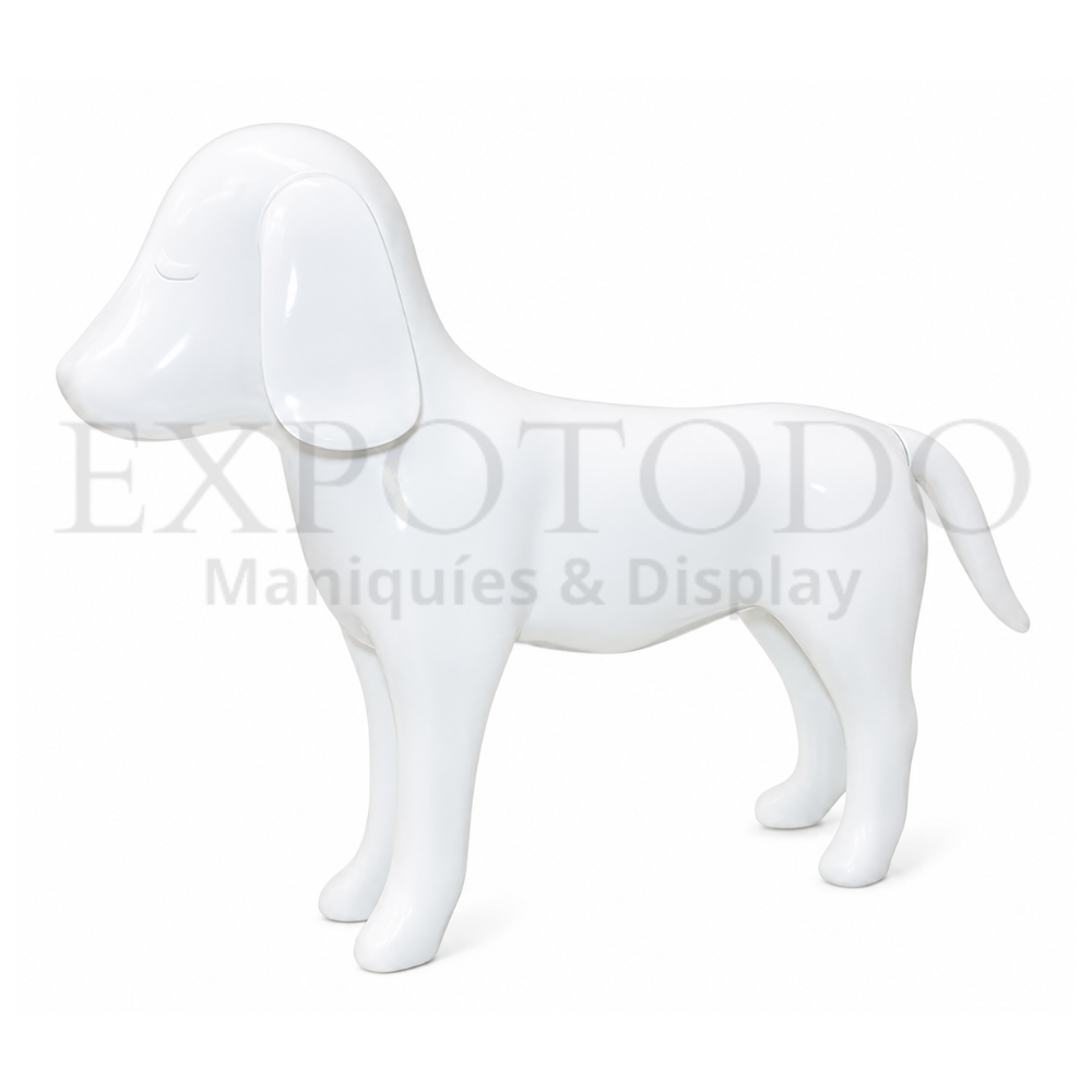 DDM-BLANCO - Expo Todo